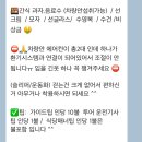 라이브스케이프 | 칸쿤 핑크라군 투어 한국인가이드 내돈내산 후기