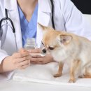 시지근린공원공영주차장 이미지