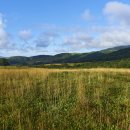 가을목장 이미지