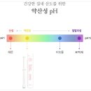 이너 클린