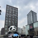 동산교역 | 중국 청두 여행 후기 - 청두 시내 구경_ 어디 가지?
