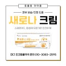 초코약국 이미지