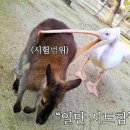 무지성