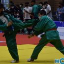 용인대TOP 태권도 이미지