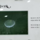 한라마을작은도서관 이미지