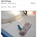 사랑열쇠 이미지
