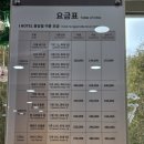 마이산 | 진안 숙소 추천 홍삼빌 호텔 예약과 조식 정보 및 마이산 뷰 솔직 후기