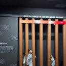 순창장류박물관 | 순창 발효테마파크 아이랑 나들이 미생물관 떡볶이페스타 후기