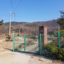 강화중성 이미지