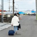노스컨츄리 | 제주 게스트하우스 노스컨츄리 후기, 귀여운 인테리어의 제주도 조천 숙소 추천