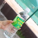제주마린리조트 영어조합법인 | 사이판 마이크로비치 사쿠라마린 예약 솔직후기(장,단점有)