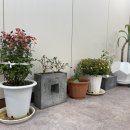 경희나린한의원 이미지