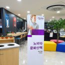 노비타홈