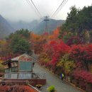대둔산 케이블카 이미지