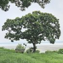 [세어도마을]산책길 코스 네이버블로그