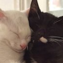 가정3-01-021 이미지