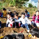 아주초교병설유치원 이미지