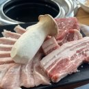 고밤도니