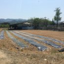 홍천군동면개운보건진료소 이미지