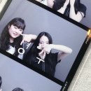 쿠마카롱 이미지