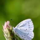 인성빌딩 이미지