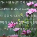 동산여자 이미지