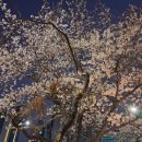 장자대로 이미지