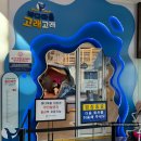 국립해양생물자원관 씨큐리움 | 서천씨큐리움 국립해양생물자원관 주말 방문 후기 (입장료·전시·아이체험)