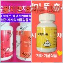 탑아이비에스 네이버블로그