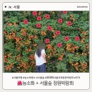 한신철골공영주차장 | 서울 능소화 명소 한신아파트나들목 + 서울숲 2026 서울국제정원박람회 후기