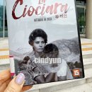 소피아로렌 | Two Women / 1960 / 감독 비토리오 데 시카 / 소피아 로렌, 장 폴 벨몽도 줄거리 결말 정보 출연진 관람...