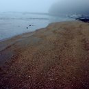 황골해변 이미지