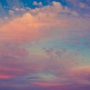 바닐라스카이 (Vanilla Sky)