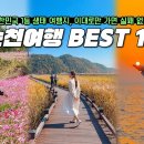 순천 여행 총정리👍 1등 힐링여행지 순천 여행 BEST 10❤️ㅣ 순천만국가정원, 순천만습지, 낙안읍성, 화포해변, 와온해변🌾 이미지