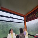 포시즌마트 | 3박 5일 겨울 여행 다낭 후기 - 4일차, 5일차 (完) (세친구투어 패키지)ㅣ 포시즌, 바나힐 투어...