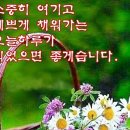 오늘짱 이미지