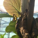 동물원 화장실 이미지