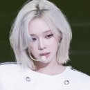 애니미용실 - 춘천시 | 애니미용실