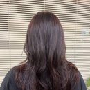 영대세탁 | 경산미용실 추천 꼼꼼한 관리가 인상적인 오니브헤어 옥곡점 후기