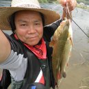 보성강6 이미지