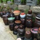 그옛날토종닭 이미지