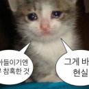 유한회사 제일실업 | 실업급여 신청 이후 조기재취업수당 신청 후기