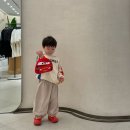 예쁨유치원 | 자라키즈 여름신상 쇼핑 후기 라이트닝맥퀸 벨트백 구매