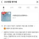 코코앤몽 이미지