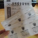 트레벨동물병원