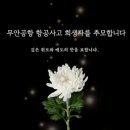 고인 이미지