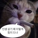 써니스민박 | 엄마랑 유럽여행 17박 18일 여행(1탄.준비기- 비행기, 숙소, 투어예약, 필요물품)