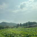 덕현이네민박 | [일상 포토덤프] 아산 촌캉스 외암네민속마을 덕현네 후기 / 충남 촌캉스