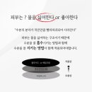 링크 에스테틱