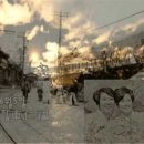 선창담배 이미지
